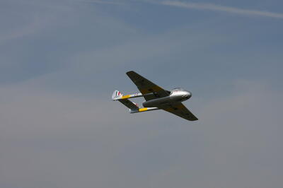 IMG 5917